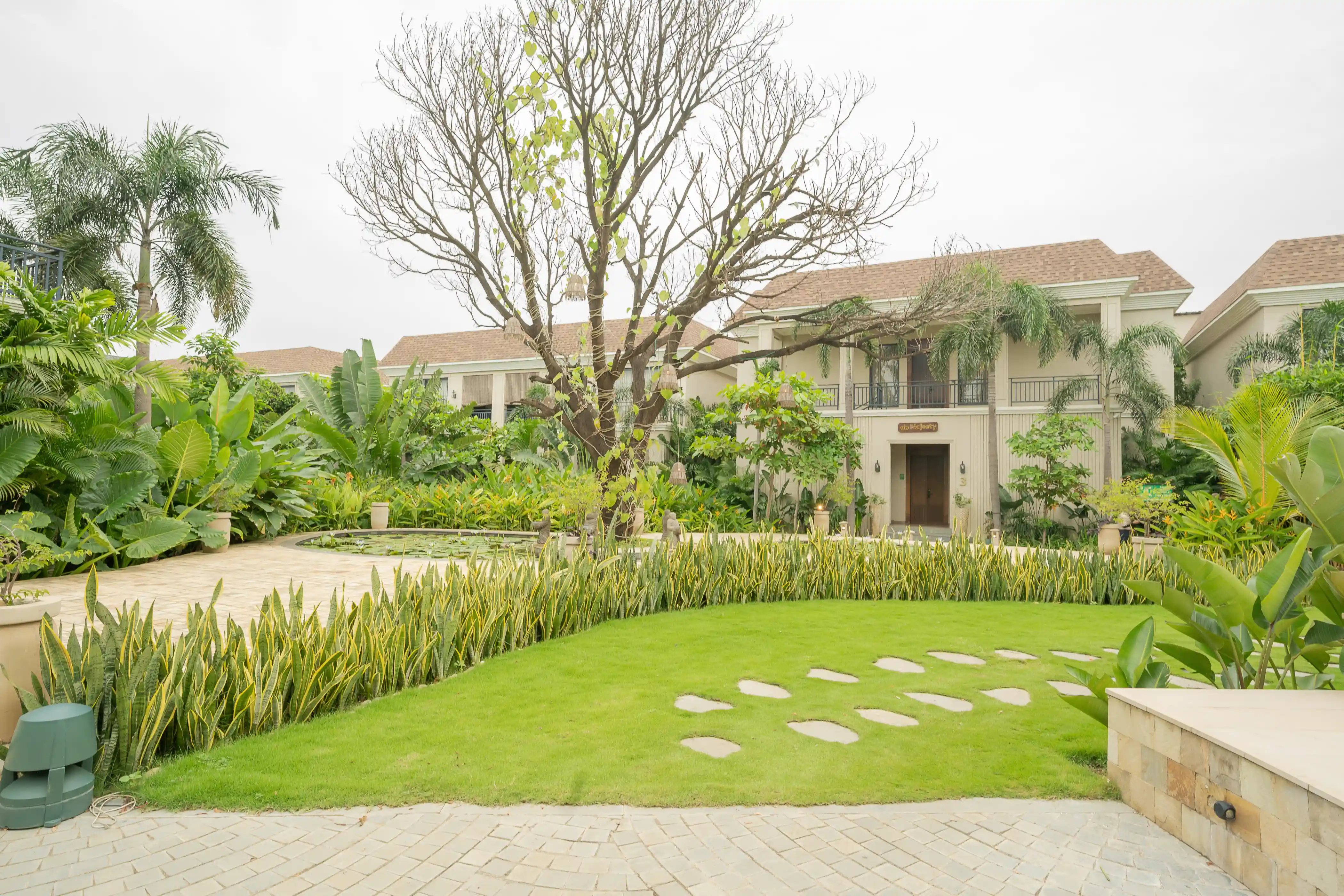 Preview of Night Sky – Amphitheatre